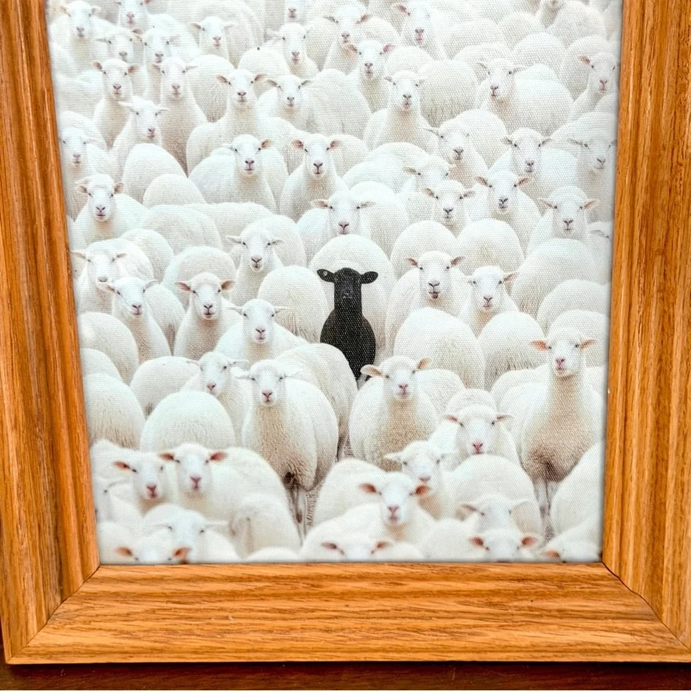 Black Sheep in a Crowd of White Lambs Canvas Art Print Vintage Wood Framed Art